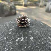 ヒメ日記 2025/04/08 20:14 投稿 白咲ふう デリス新宿