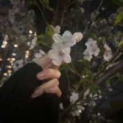 ヒメ日記 2025/04/25 20:16 投稿 白咲ふう デリス新宿