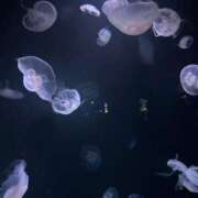 ヒメ日記 2025/05/01 18:34 投稿 白咲ふう デリス新宿