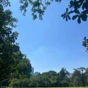 ヒメ日記 2025/06/30 14:44 投稿 白咲ふう デリス新宿