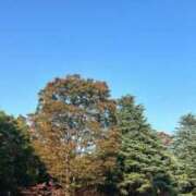 ヒメ日記 2025/08/10 10:34 投稿 白咲ふう デリス新宿