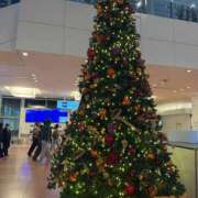 ヒメ日記 2025/12/02 21:24 投稿 白咲ふう デリス新宿