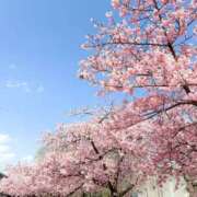 ヒメ日記 2025/03/25 14:00 投稿 りんか モアグループ宇都宮人妻花壇