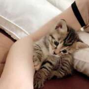 ヒメ日記 2025/05/17 11:02 投稿 りんか モアグループ宇都宮人妻花壇