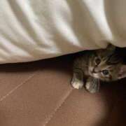 ヒメ日記 2025/05/23 13:43 投稿 りんか モアグループ宇都宮人妻花壇