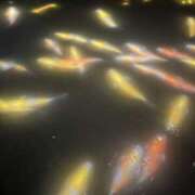 ヒメ日記 2025/09/06 11:00 投稿 りんか モアグループ宇都宮人妻花壇