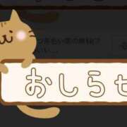 ヒメ日記 2025/06/08 16:31 投稿 宇津木　つづり エテルナ京都