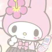 わらび 今日 ドMな奥様 京都店