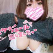 ヒメ日記 2025/04/07 18:16 投稿 めめ ぷよラブ