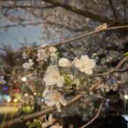 ヒメ日記 2025/04/22 17:23 投稿 近衛りんか 大人のエッチなエステ