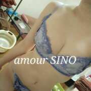 ヒメ日記 2025/02/10 10:06 投稿 シノ AMOUR（アムール）