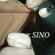 ヒメ日記 2025/02/12 10:44 投稿 シノ AMOUR（アムール）