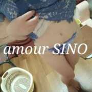 ヒメ日記 2025/04/24 09:57 投稿 シノ AMOUR（アムール）