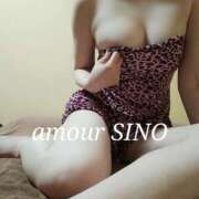 ヒメ日記 2025/05/11 17:03 投稿 シノ AMOUR（アムール）