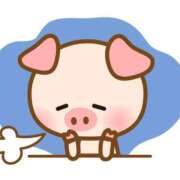 ヒメ日記 2025/05/20 07:06 投稿 シノ AMOUR（アムール）