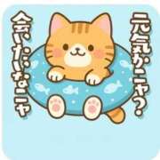 ヒメ日記 2025/07/17 11:01 投稿 シノ AMOUR（アムール）