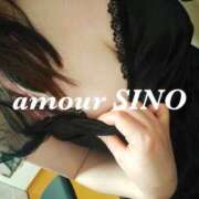 ヒメ日記 2025/10/09 09:40 投稿 シノ AMOUR（アムール）