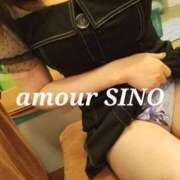 ヒメ日記 2025/11/04 06:53 投稿 シノ AMOUR（アムール）