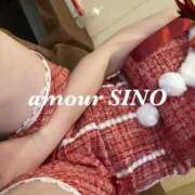 ヒメ日記 2025/12/19 07:07 投稿 シノ AMOUR（アムール）