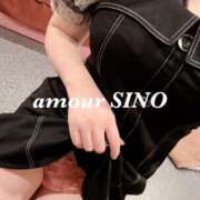 シノ おはよ〜☀️ AMOUR（アムール）