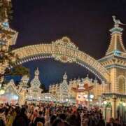 ヒメ日記 2024/12/20 12:00 投稿 ありす 成田人妻講座