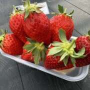 ヒメ日記 2025/03/05 12:00 投稿 ありす 成田人妻講座