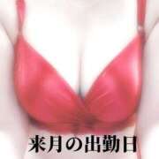 ヒメ日記 2025/08/25 12:00 投稿 ありす 成田人妻講座