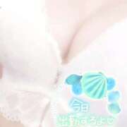 ヒメ日記 2025/09/14 08:00 投稿 ありす 成田人妻講座