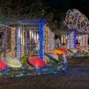 ヒメ日記 2025/12/07 12:00 投稿 ありす 成田人妻講座