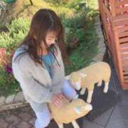 ヒメ日記 2025/03/06 07:58 投稿 エナ ソープランド マックス