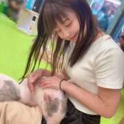 ヒメ日記 2025/06/04 07:48 投稿 エナ ソープランド マックス