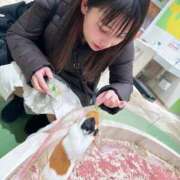 ヒメ日記 2025/06/14 07:48 投稿 エナ ソープランド マックス