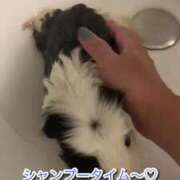 ヒメ日記 2025/08/17 09:18 投稿 エナ ソープランド マックス