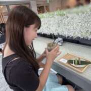 ヒメ日記 2026/04/11 07:48 投稿 エナ ソープランド マックス