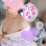 ヒメ日記 2025/04/15 08:57 投稿 松原友美 五十路マダムエクスプレス豊橋店（カサブランカグループ）