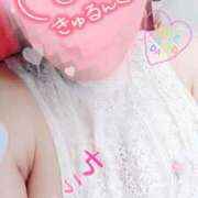 ヒメ日記 2025/04/25 12:52 投稿 松原友美 五十路マダムエクスプレス豊橋店（カサブランカグループ）