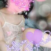 ヒメ日記 2025/06/12 12:38 投稿 松原友美 五十路マダムエクスプレス豊橋店（カサブランカグループ）