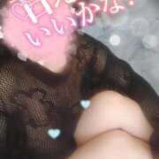 ヒメ日記 2025/08/30 12:24 投稿 松原友美 五十路マダムエクスプレス豊橋店（カサブランカグループ）