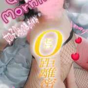 ヒメ日記 2025/12/01 09:18 投稿 松原友美 五十路マダムエクスプレス豊橋店（カサブランカグループ）