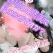 ヒメ日記 2025/12/02 11:46 投稿 松原友美 五十路マダムエクスプレス豊橋店（カサブランカグループ）