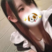 ヒメ日記 2025/04/02 10:10 投稿 まほ メイドde本舗