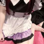 ヒメ日記 2025/10/18 11:02 投稿 まほ メイドde本舗