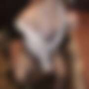 ヒメ日記 2025/07/30 11:14 投稿 まほ 夜這い本舗