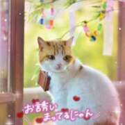 ヒメ日記 2026/07/07 15:41 投稿 霧咲しの(きりさきしの) 神戸妻