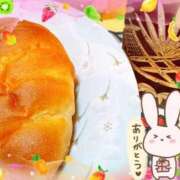 ヒメ日記 2026/08/08 05:27 投稿 霧咲しの(きりさきしの) 神戸妻