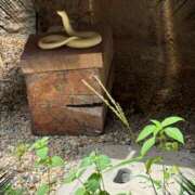ヒメ日記 2026/08/14 20:06 投稿 霧咲しの(きりさきしの) 神戸妻