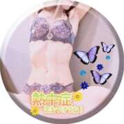 ヒメ日記 2026/08/25 05:30 投稿 霧咲しの(きりさきしの) 神戸妻キャッスル店