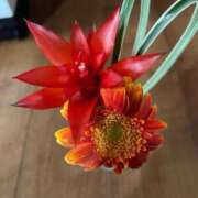 ヒメ日記 2025/04/23 05:06 投稿 たかおか 丸妻 厚木店