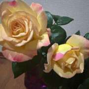 ヒメ日記 2025/04/26 04:33 投稿 たかおか 丸妻 厚木店