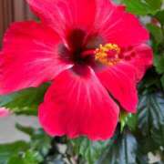 ヒメ日記 2025/05/23 06:18 投稿 たかおか 丸妻 厚木店